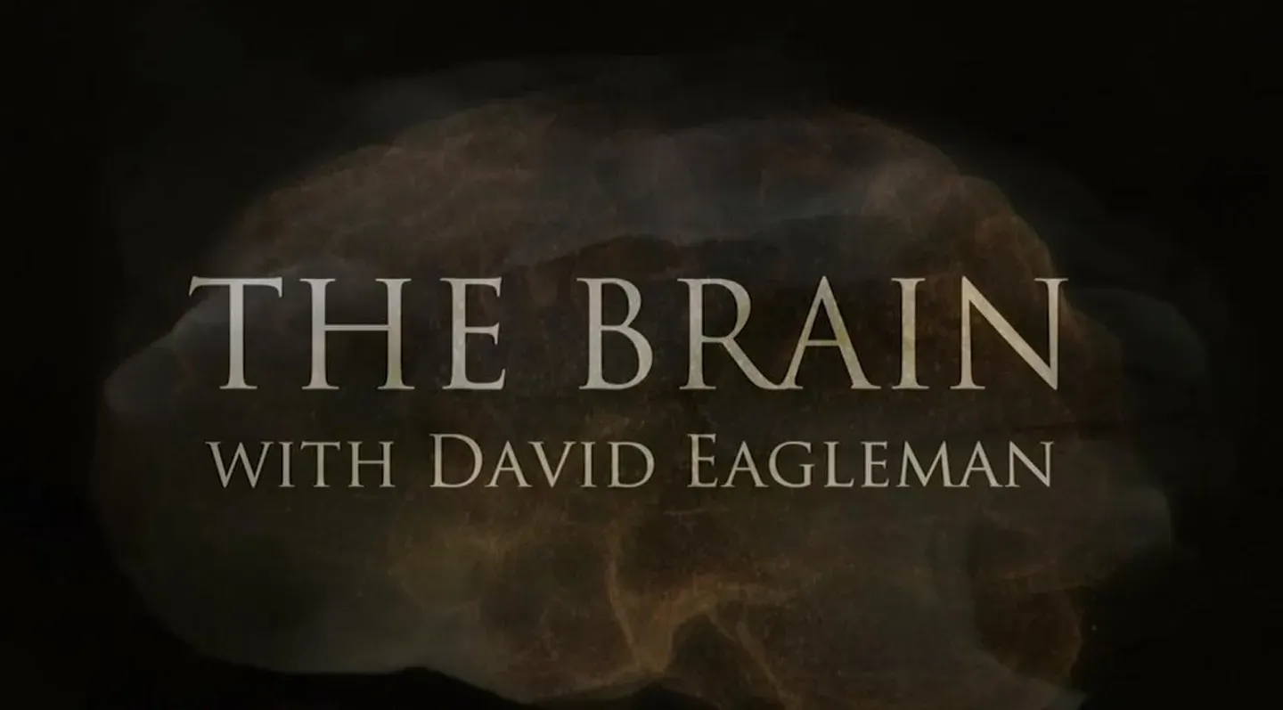 The Brain with David Eagleman: What Is Reality?