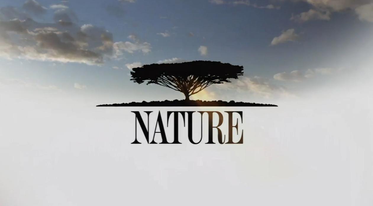 その他 Nature: Magic of the Snowy Owl [DVD] [Import] Nature: Magic of the Snowy Owl [DVD] [Region 1] [US Import