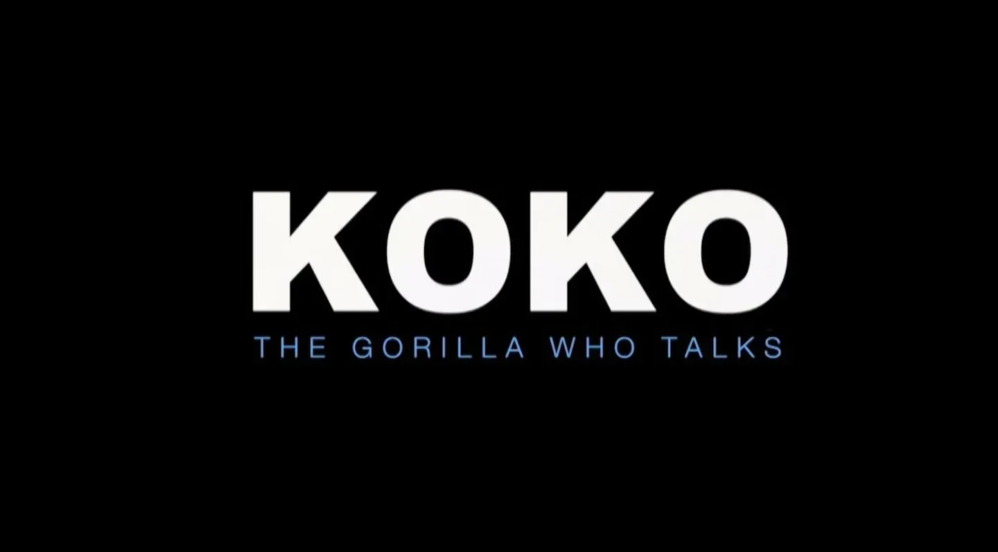Koko: The Gorilla Who Talks