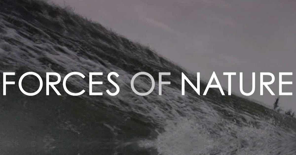 Arizona PBS Previews | Forces of Nature: Motion | PBS