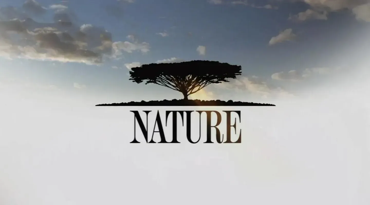 Nature: Moose: Life of a Twig Eater