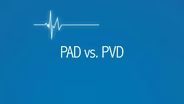 PAD vs. PVD