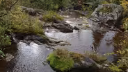 Idaho Headwaters Special