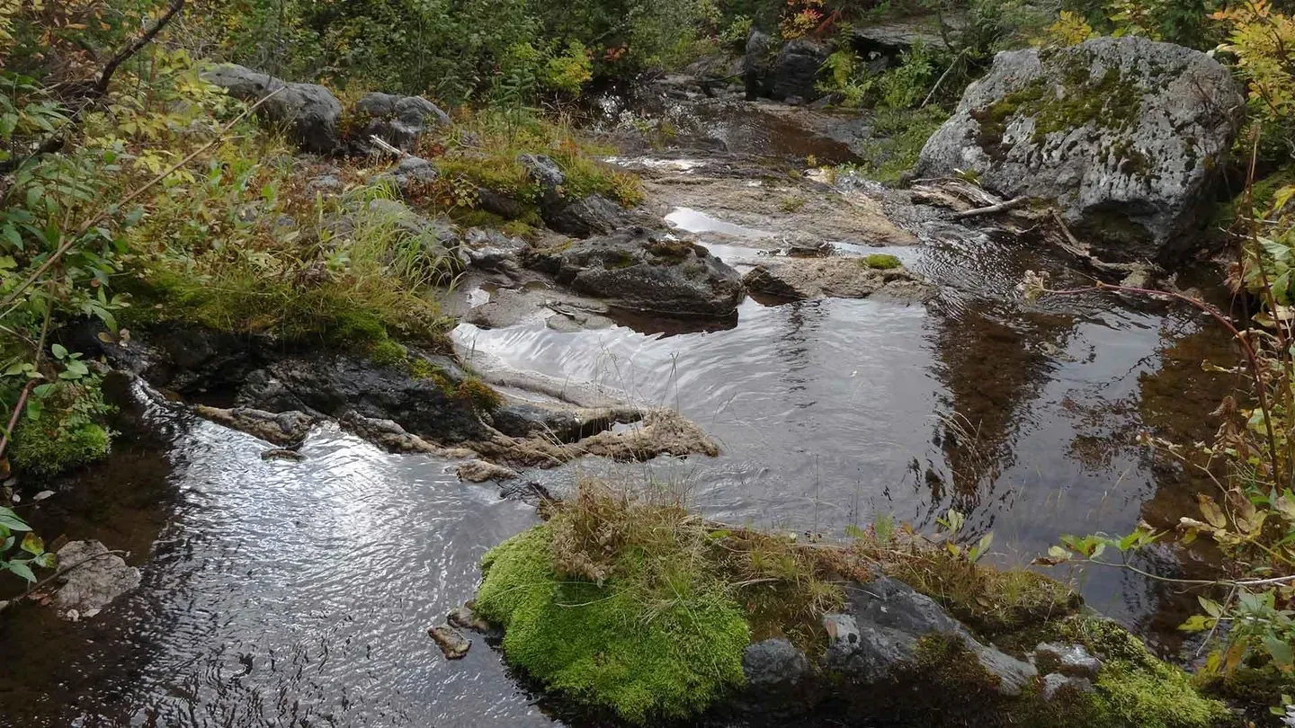 Idaho Headwaters Special