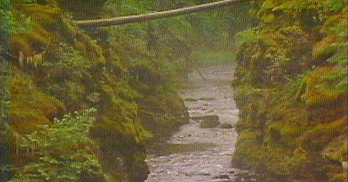 Outdoor Idaho | St. Joe River | Season 4 | Episode 11 | IdahoPTV