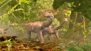 D4K: The Web Show:  Dinosaurs