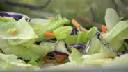 D4K: The Web Show:  Nutrition