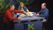 D4K: The Web Show:  Bears