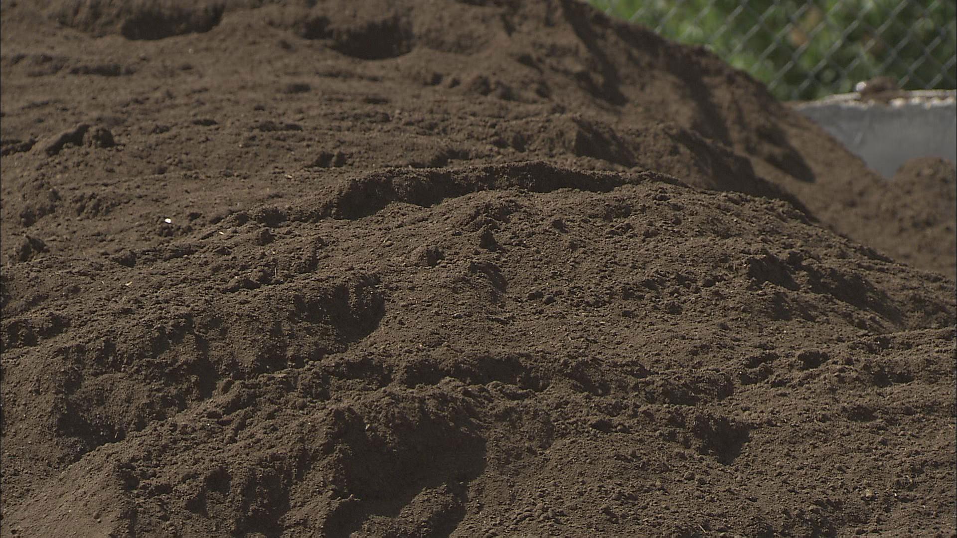 Don't Call It Dirt: The Science Of Soil : Short Wave : NPR