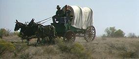 Homesteading (Visions of Idaho)