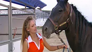 Horsewomen (Outdoor Idaho)