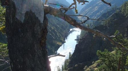 Video thumbnail: Scout-Places The Frank Church Wilderness (Outdoor Idaho)