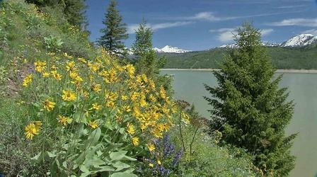Video thumbnail: Scout-Places Palisades by Season (Outdoor Idaho)