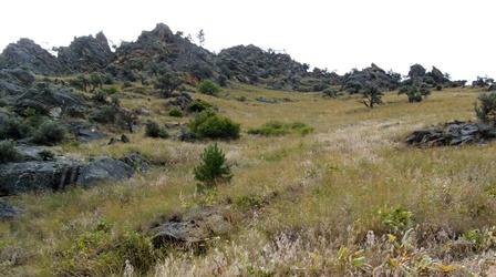 Video thumbnail: Scout-Resource Issues Nature's Land Brokers (Outdoor Idaho)
