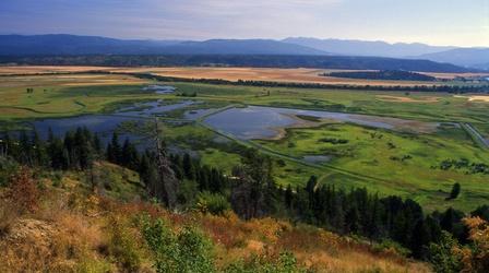 Video thumbnail: Scout-Wild Things Seeking Refuge (Outdoor Idaho)