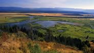 Seeking Refuge (Outdoor Idaho)