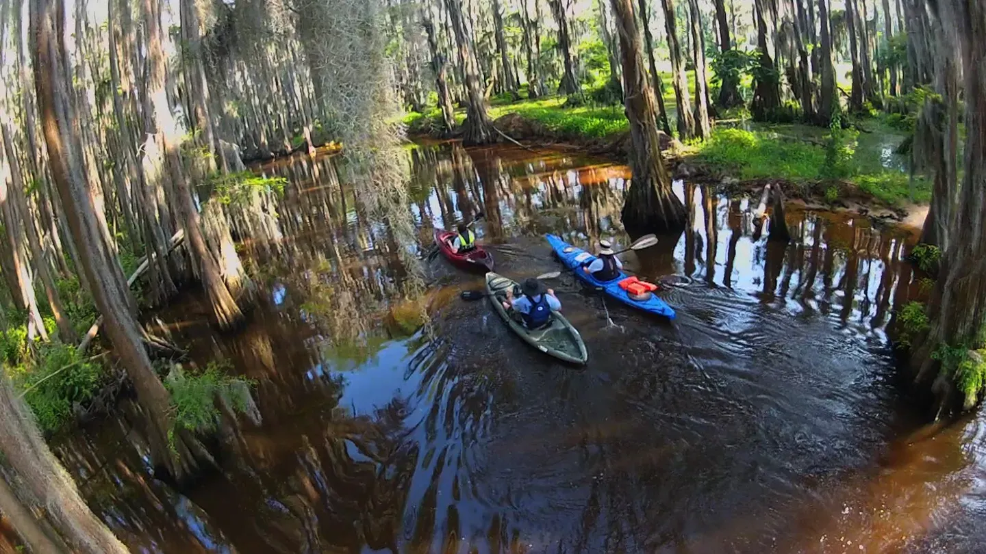Ranch Wildlife, Conservation Dollars & Kickapoo Cavern