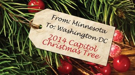 Video thumbnail: Documentaries & Specials From MN to Washington DC The 2014 Capitol Christmas Tree