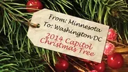 From MN to Washington DC The 2014 Capitol Christmas Tree