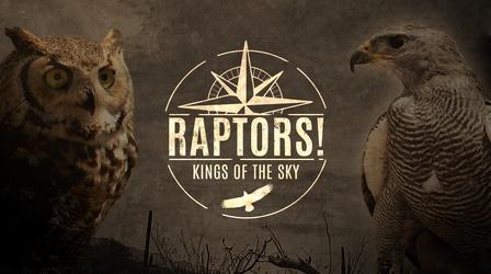 Video thumbnail: Raptors: Kings of the Sky Raptors: Kings of the Sky