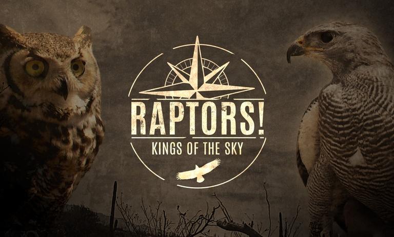 Raptors: Kings of the Sky