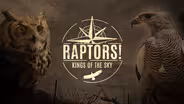 Raptors!: Kings of the Sky