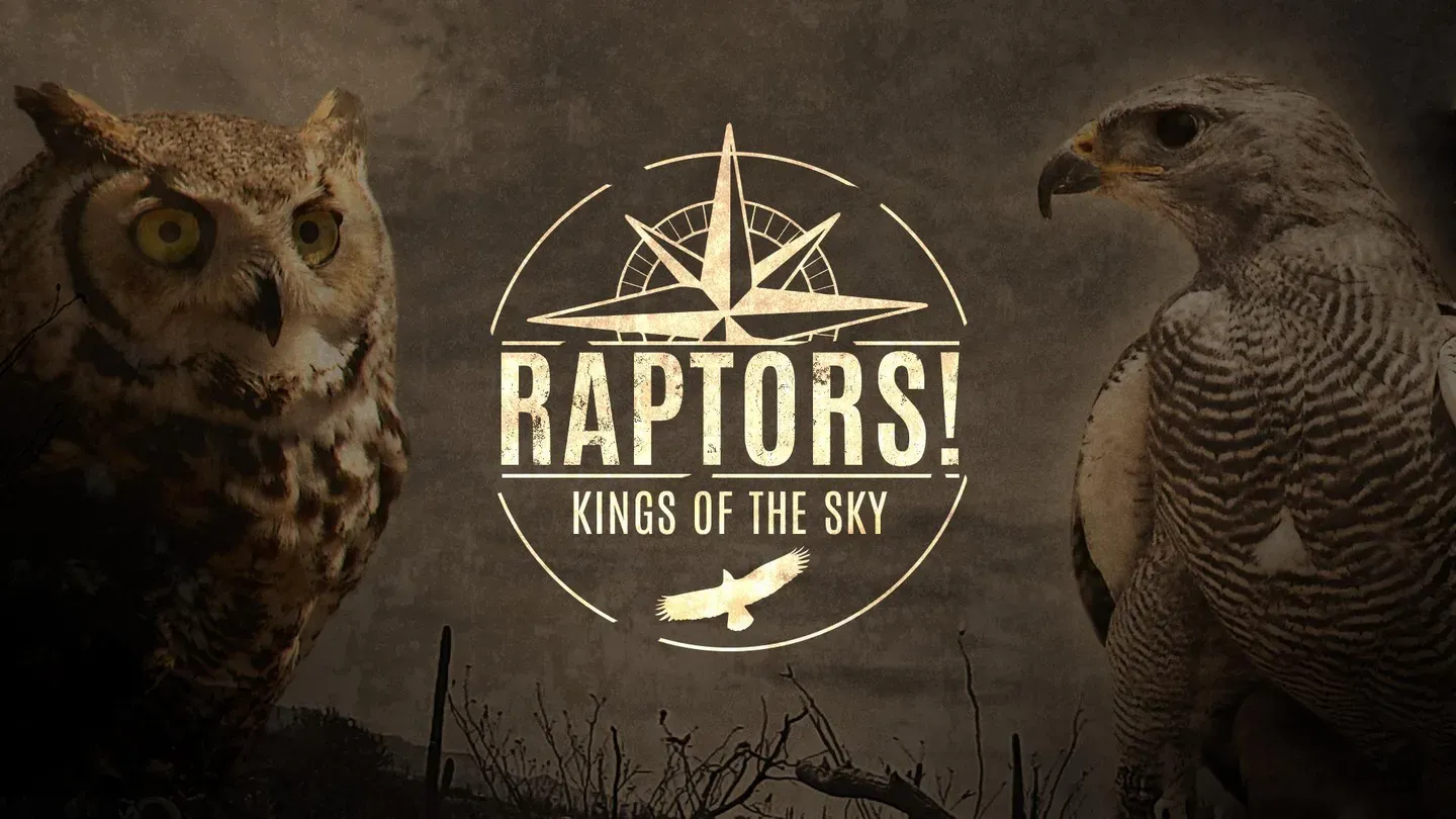 Raptors!: Kings of the Sky