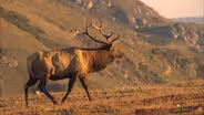 Heart of the World: Behind the Scenes- The Best of Colorado