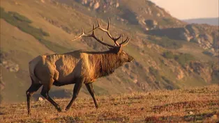 Heart of the World: Behind the Scenes- The Best of Colorado