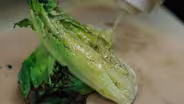 Olde Town Arvada - Schoolhouse Kitchen and Libations