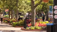 Pearl Street Mall Boulder