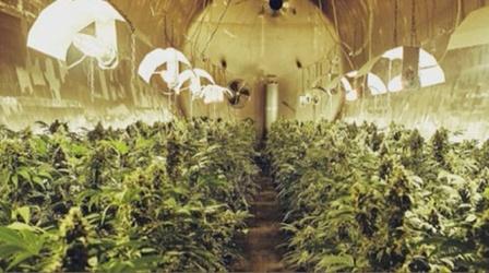 Video thumbnail: Studio 12 Marijuana's Legal in Colorado: Now What?