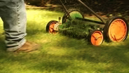 Lawn Care