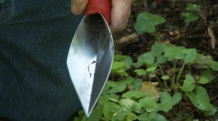Video thumbnail: Lakewold Gardens Favorite Gardening Tools