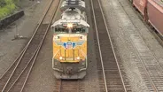 Coal Trains - The Conversation continues