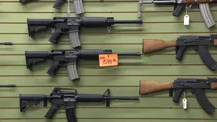NWN 808 I-1491 Gun Extreme Protection Orders Convo