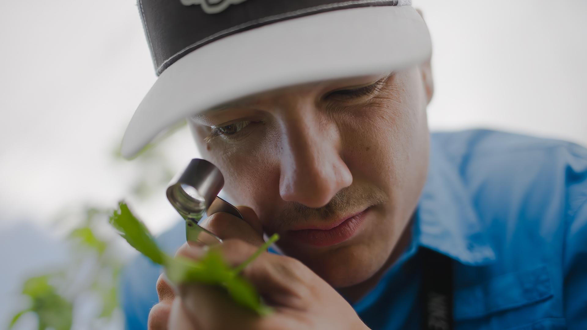 A person wearing a baseball cap looking into a looking glass at foliage.