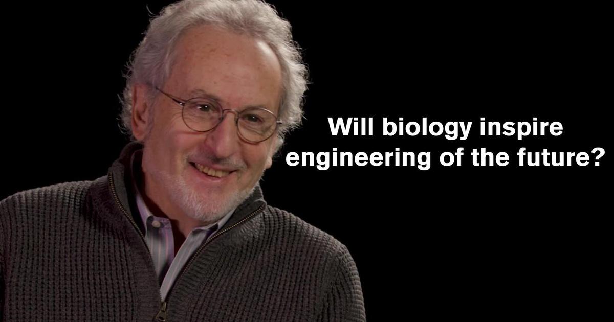 The Big Question | Donald E. Ingber | PBS