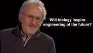 Donald E. Ingber