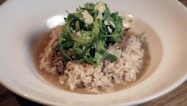 Check, Please! Northwest