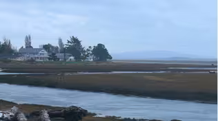 Hope Floats in Washaway Beach