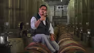Musica, Vida y Vino