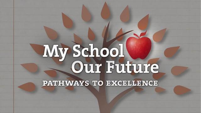 Pathways to Excellence