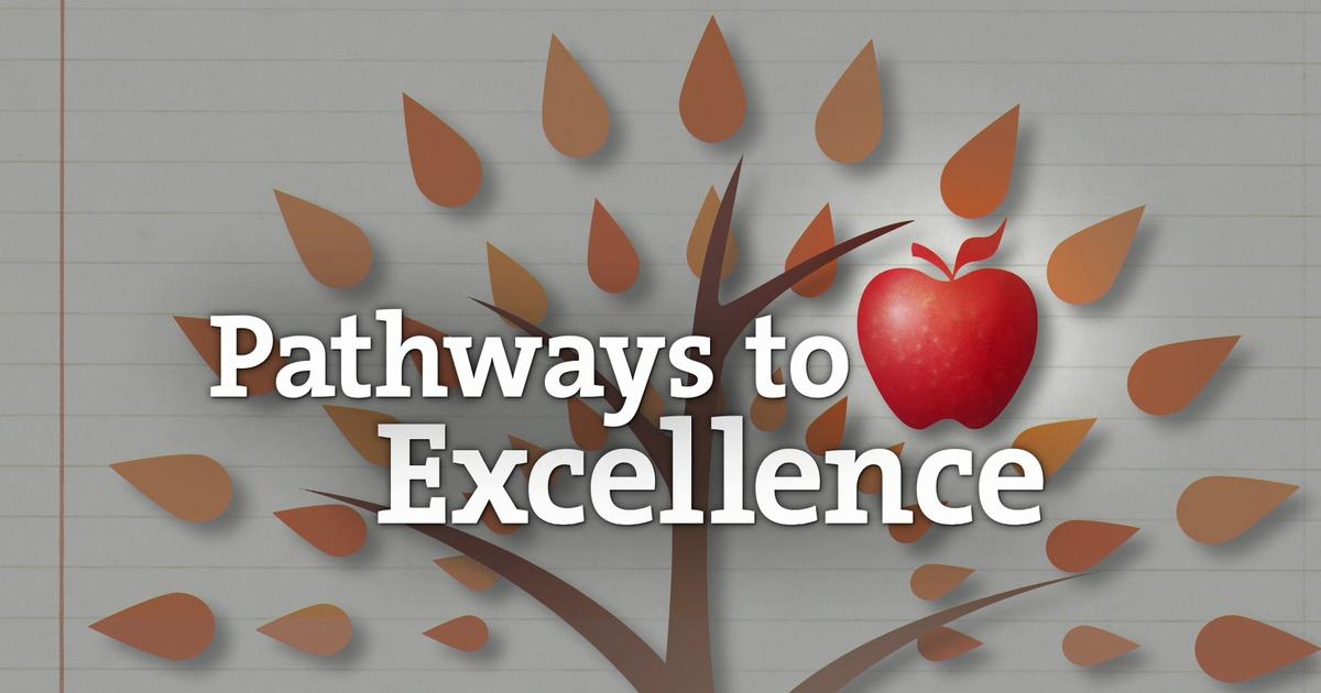 Pathways to excellence | my school, our future 2016