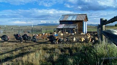 Video thumbnail: Farm to Fork Wyoming School Lunch