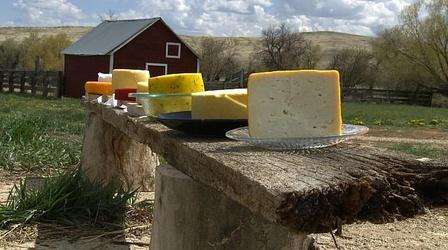 Video thumbnail: Farm to Fork Wyoming Food Freedom part 2