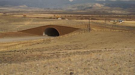 Video thumbnail: Main Street Wyoming Trapper's Point