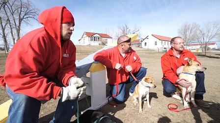 Video thumbnail: Wyoming Chronicle Wyoming Honor Dog Program