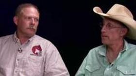 Video thumbnail: Wyoming Chronicle Wild Horses