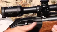 One-Shot Antelope Hunt